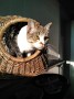Berny (5)